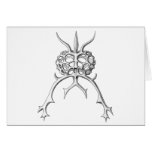 Radiolaria Greeting Cards
