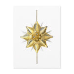 Radiolarian Post Cards