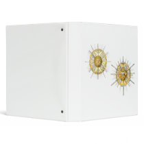 radiolarians vinyl binders