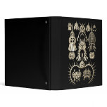 Radiolarians Vinyl Binders