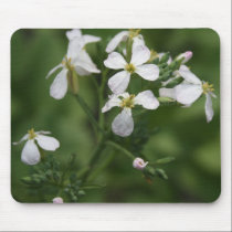 Radish Blooms mousepads