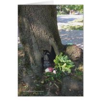 Radish Gifting cards