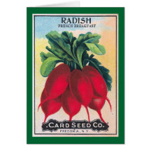 Radish Seed Packet Card