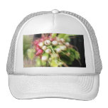Radish & Turnip Harvest Mesh Hat