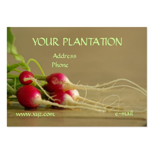 Radishes Business Card (front side)