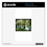 RADIUM SPRINGS - Albany, Georgia Skin For The iPhone 4