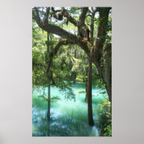 Radium Springs Along Flint River GA Print