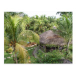 Rafael Farm Postcard