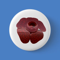 Rafflesia Button