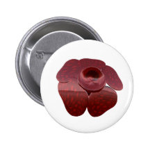 Rafflesia Button