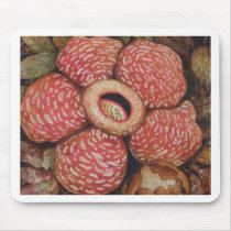 Rafflesia Of Borneo Watercolor Art Mouse Pads