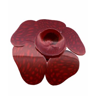 Rafflesia T Shirt, Lady shirt