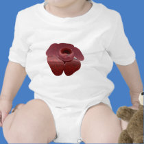 Rafflesia T Shirt, Toddler