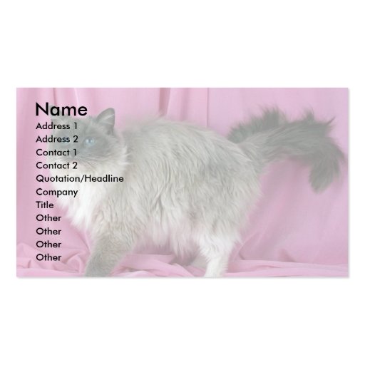 Ragdoll, blue mitted business card template