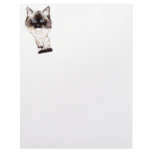 Ragdoll Caricature Custom Letterhead