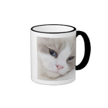 Ragdoll cat coffee mugs