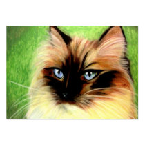 Ragdoll Cat Portrait ACEO Art Trading Cards business cards by jaisjewels Ragdoll Cat Portrait ACEO Art Trading Cards business cards