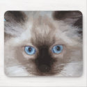 Ragdoll Mousepad by naturespaintbox Ragdoll Mousepad