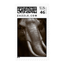 Raging Bull stamps