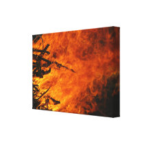 Raging Fire canvas prints