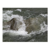 Raging River Post Card postcards