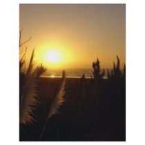 Raglan Sunset Custom Flyer