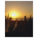 Raglan Sunset flyers