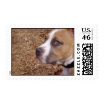 Ragnar Ryderson Stamp