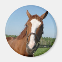 Rags to Riches headshot Refrigerator Magnets