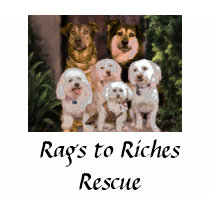 Rags to Riches ladies tee t-shirts by ragstoriches Rags to Riches ladies tee t-shirts