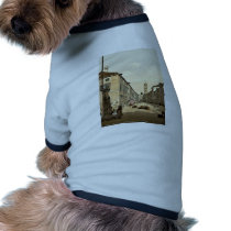Ragusa, the Franciscan Church, Dalmatia, Austro-Hu Dog T-shirt