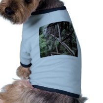 Rail Road Bridge pet clothing by pirate94 Rail Road Bridge pet clothing