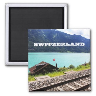 Railway track in Swiss magnet