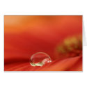 Rain Drop Card