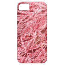 Rain Drop Japanese Maple Tree iPhone Case iPhone 5 Covers