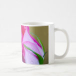 Rain Drop Kisses of Nature on Pink Rose Coffee Mugs