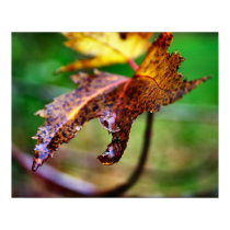 rain drop posters