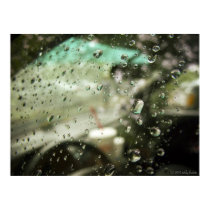 Rain Droplet Poster posters