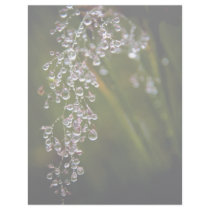 Rain Droplets Letterhead by SabineSt Rain Droplets Letterhead