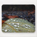 Rain Droplets on Leaf mousepads