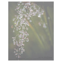 Rain Droplets Personalized Letterhead by SabineSt Rain Droplets Personalized Letterhead