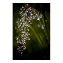 Rain Droplets posters by SabineSt Rain Droplets posters