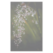 Rain Droplets Stationery by SabineSt Rain Droplets Stationery