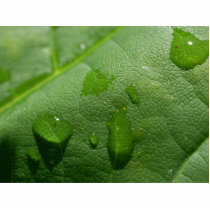 Rain Drops In Montana photo sculptures by lifesphere Rain Drops In Montana photo sculptures