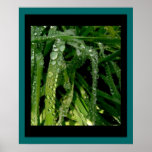 Rain Drops on Grass Print