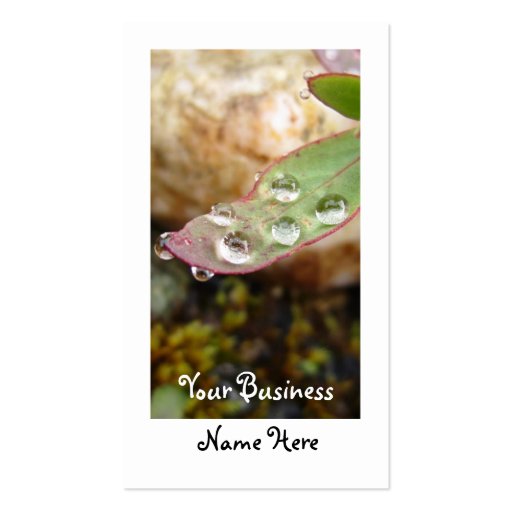 Rain Drops on Leaf Business Card Templates (front side)