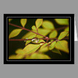 Rain Drops On Leaves Card