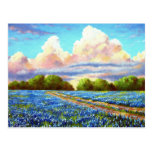 Rain For The Bluebonnets Post Card