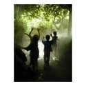 Rain Forest Children - photography posters by momasart Rain Forest Children - photography posters