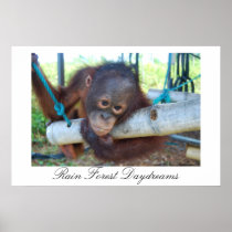 Rain Forest Great Ape Daydreams Posters